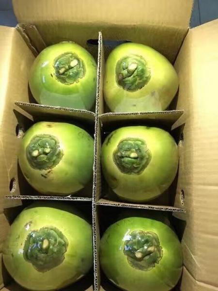 DỪA TƯƠI NGUYÊN VỎ